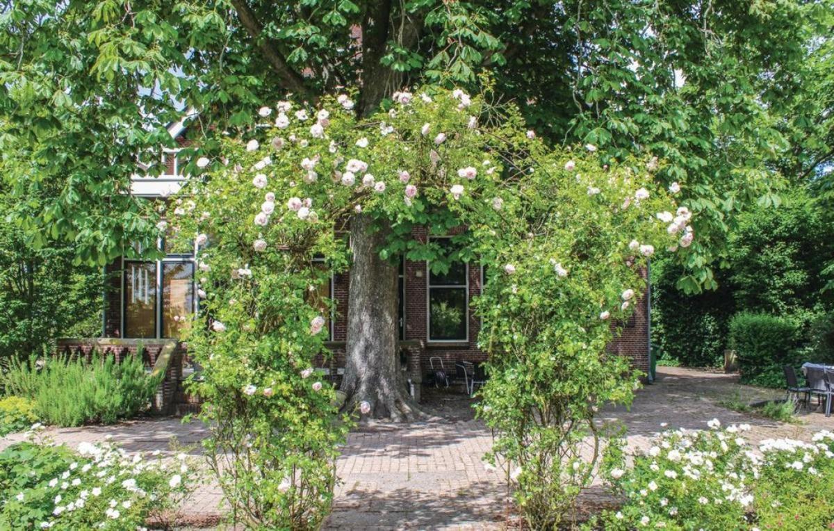 Seulle State Vila Sint Jacobiparochie Exterior foto
